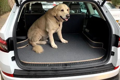 כלב בתוך הרכב על שטיח לתא מטען